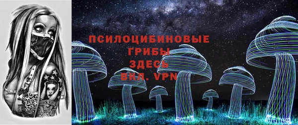 Альфа ПВП Арсеньев