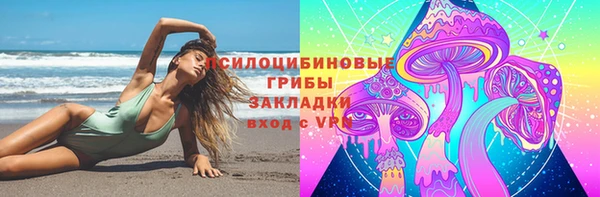 Альфа ПВП Арсеньев