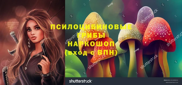 PSILOCYBIN Алексин