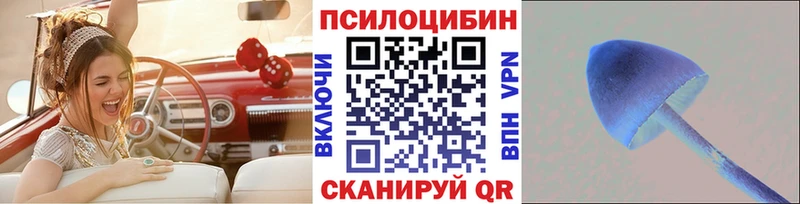 Купить  Сердобск  Псилоцибиновые грибы Cubensis 