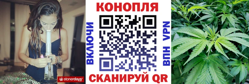 Бошки Шишки OG Kush  Купить закладки  Сердобск 